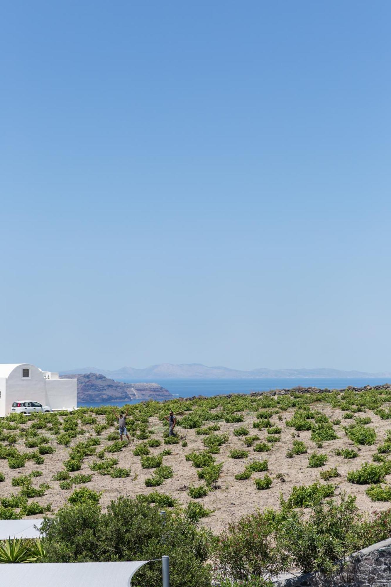 Soil Of Sun Luxury Villas 梅加洛克里 外观 照片